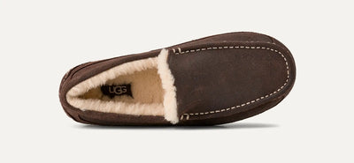UGG MENS ASCOT LEATHER - DUSTED COCOA