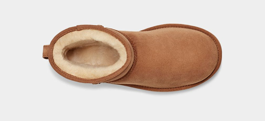 UGG CLASSIC MINI II - CHESTNUT – DAVIDSON SHOES
